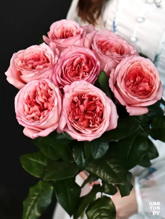 Нежный букет пионовидных роз